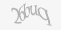 Защитный код